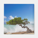 Recherche de îles des caraïbes magnets Ville