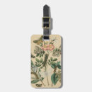 Recherche de stade accessoires Animaux