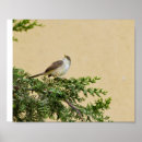 Recherche de ornithologie posters Animal