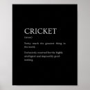 Search for funny cricket posters Stump