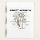 Search for textbook Anatomical