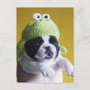 Recherche de chiffres cartes postales Animaux