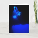 Search for discovered cards Ocean