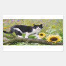 Search for tuxedo cats stickers Animal