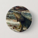 Recherche de iguane badges Lézards