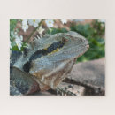 Recherche de lézard puzzles Reptiles