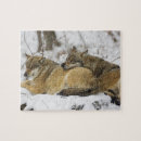 Search for wolves puzzles Wildlife