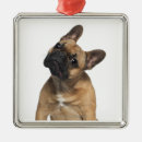 Recherche de chiot de bouledogue ornements Canin