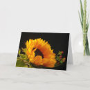 Search for blank sunflower cards Country