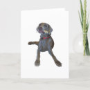 Search for weimaraner cards Funny
