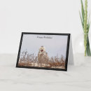 Recherche de hibou neige vœux cartes Faune