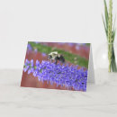 Recherche de sting cartes postales Insectes