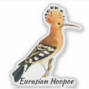 Search for transparent wings stickers Bird
