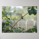 Recherche de colibri posters Nature