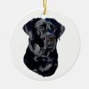 Search for hunting dog ornaments Sporting