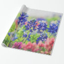 Recherche de loup sauvage papier cadeau Pour tous