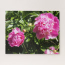 Recherche de dark puzzles Vert