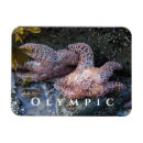 Recherche de piscine magnets Travel