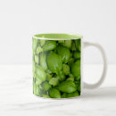 Search for basil mugs Cooking