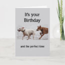 Search for behaves Dogs