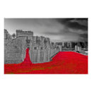 Recherche de tour de londres posters Pavot rouge
