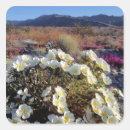 Search for california desert stickers Mountain