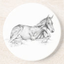 Search for quiet coasters Black and white