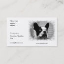 Recherche de boston ma cartes visite Terrier