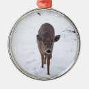 Search for deer doe ornaments Nature