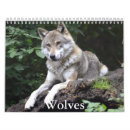 Recherche de loups calendriers Montagnes