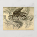 Recherche de illustration hibou posters Imprimer