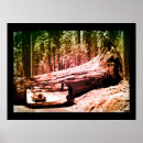 Search for sequoia posters Trees