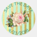 Search for green stripe stickers Gold