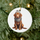 Search for vizsla ornaments Pet