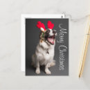 Recherche de chiot de vacances cartes postales Mignon