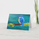 Search for kingfisher cards Bird