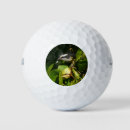 Recherche de golfe photographie Vert