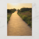 Search for beach walkway postcards Ocean
