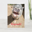Search for funny farm cards Pig