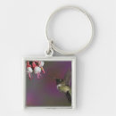 Search for ruby throated hummingbird keychains Motion