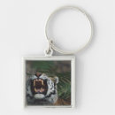 Search for risks keychains Nature