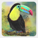 Search for toucan bird stickers Exotic