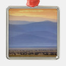 Search for migrator ornaments Wildlife