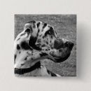 Search for dane buttons Pet