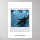 Recherche de pools posters Numérique