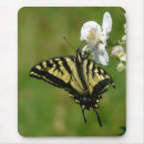 Search for winged insect mousepads Black