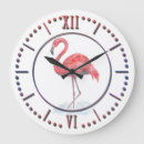 Recherche de flamingos horloges Nature