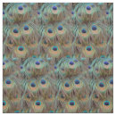 Search for tail feather Blue