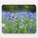 Search for cornflower mousepads Wildflowers