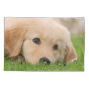 Search for retriever pillowcases Dog